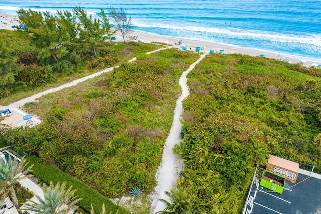 bird's eye view of unending shoreline