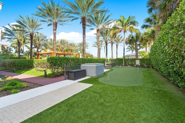view of yard featuring a putting green