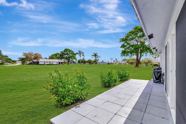 view of yard featuring a patio area