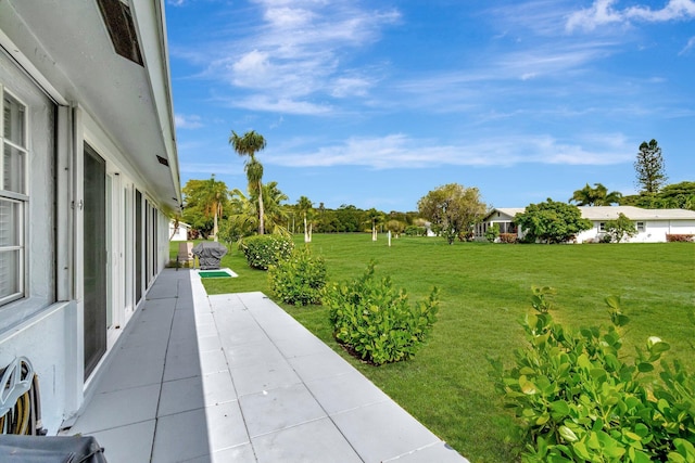 view of yard featuring a patio area