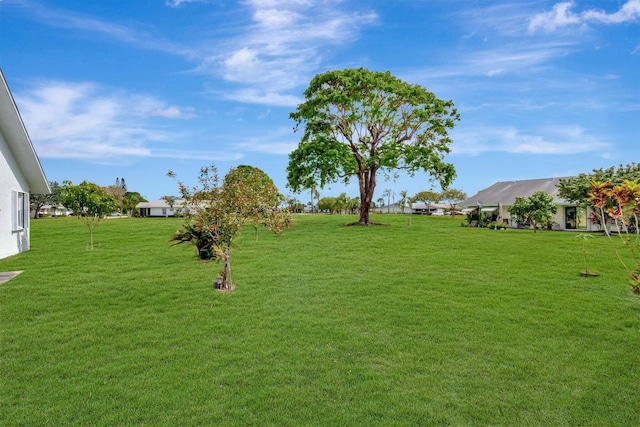 view of yard