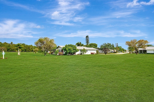 view of yard