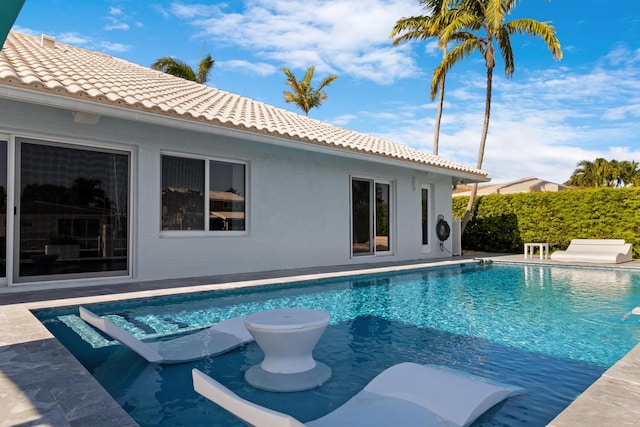 view of swimming pool