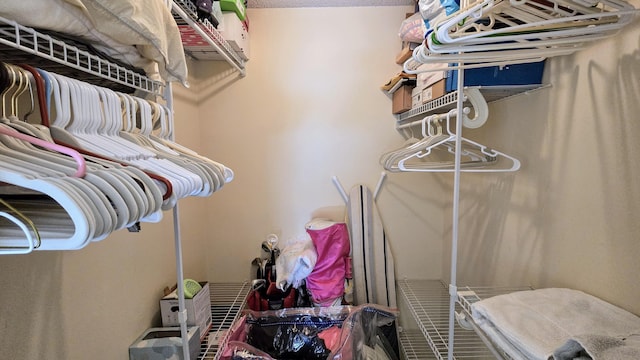 view of walk in closet