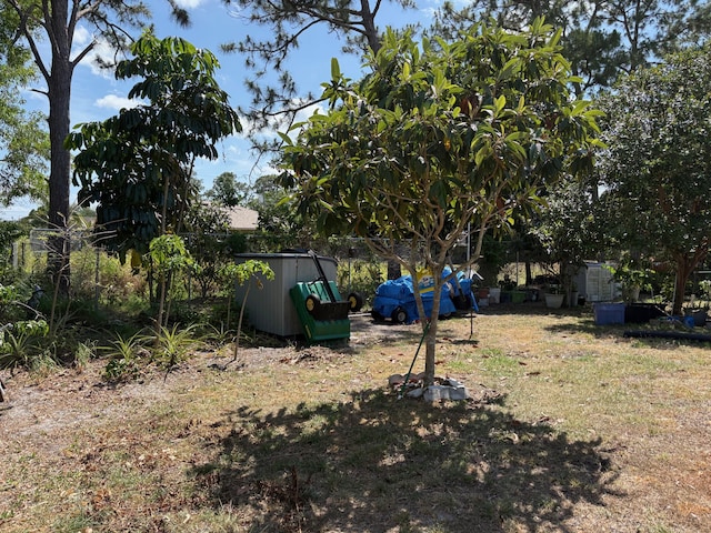 view of yard with a storage shed