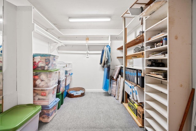 spacious closet with carpet flooring
