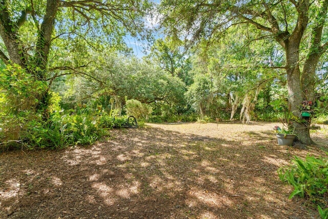 view of yard with a wooded view