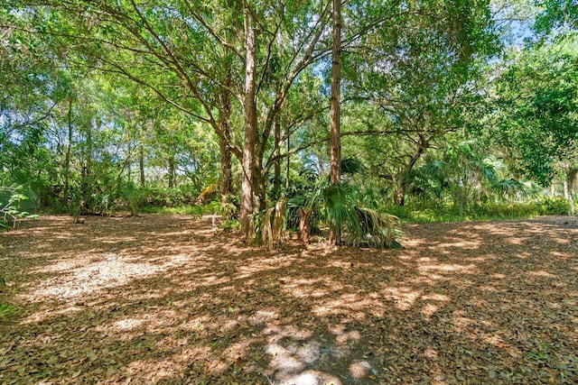 view of local wilderness featuring a view of trees