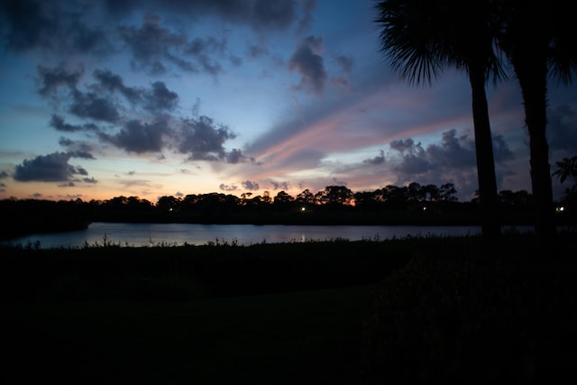 view of water feature