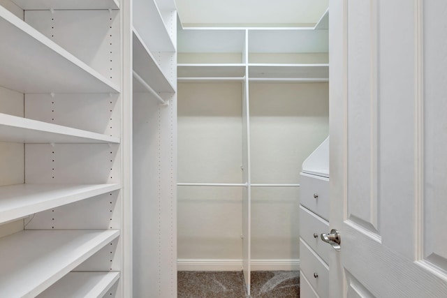 spacious closet featuring carpet