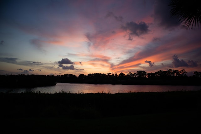 property view of water