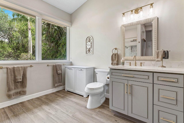 bathroom featuring vanity, plenty of natural light, toilet, and wood finished floors