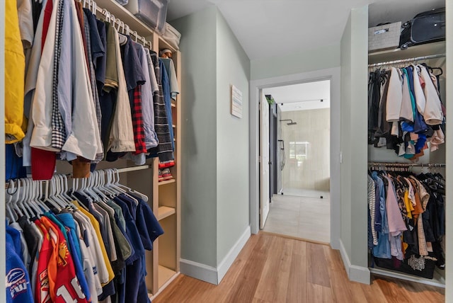 walk in closet featuring wood finished floors