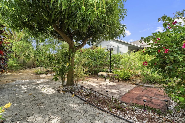 11711 Laurel Valley Cir, Wellington, FL 33414 - view of yard with a patio