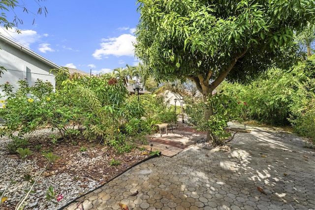 11711 Laurel Valley Cir, Wellington, FL 33414 - view of yard with a patio area