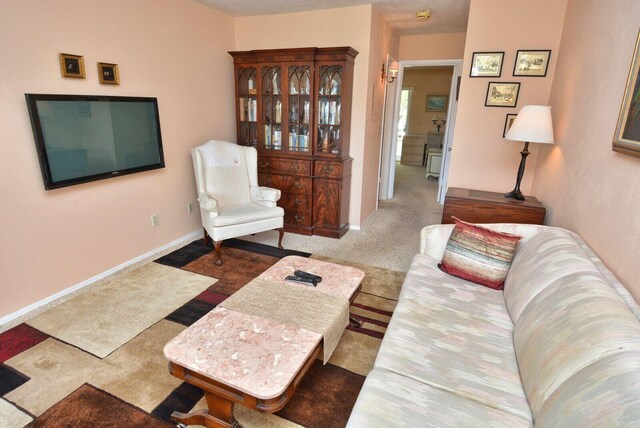 1225 NW 21st St Unit 2010, Stuart, FL 34994 - living room featuring baseboards and carpet flooring