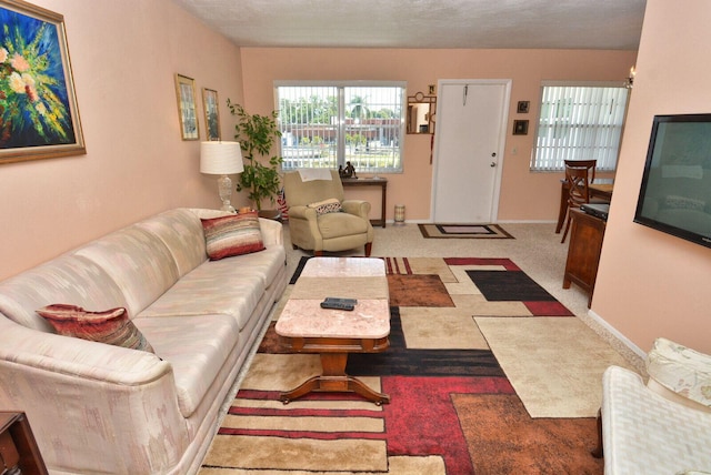1225 NW 21st St Unit 2010, Stuart, FL 34994 - living area with baseboards, carpet, and a wealth of natural light