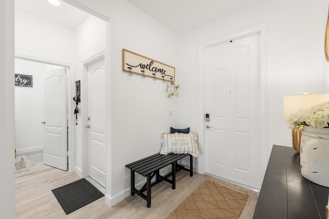 interior space featuring baseboards and light wood-type flooring