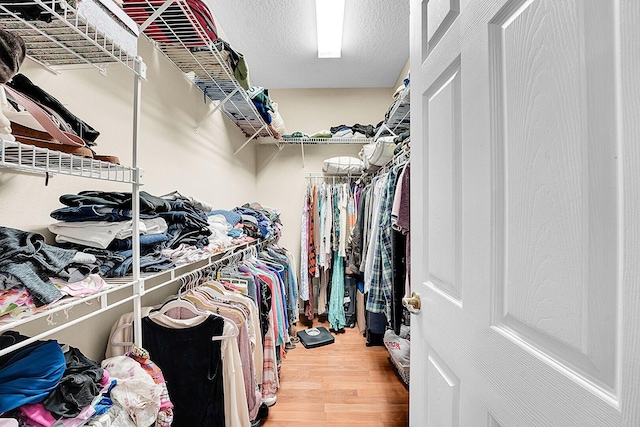 spacious closet with wood finished floors