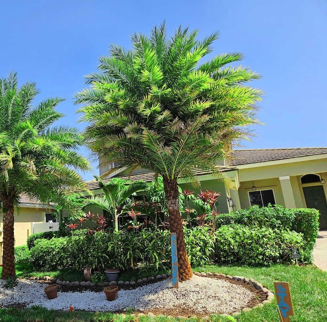 7861 Manor Forest Ln, Boynton Beach, FL 33436 - view of side of home featuring stucco siding