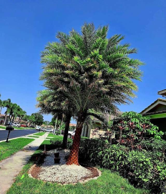 7861 Manor Forest Ln, Boynton Beach, FL 33436 - view of yard
