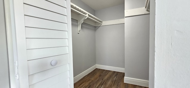 4141 NW 44th Ave Unit 217, Lauderdale Lakes, FL 33319 - walk in closet with dark wood-type flooring