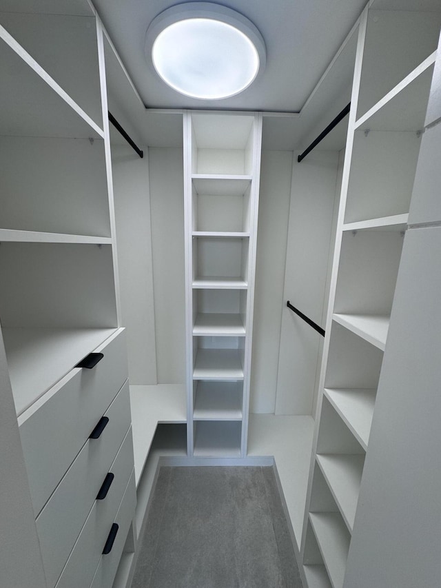 walk in closet featuring carpet floors