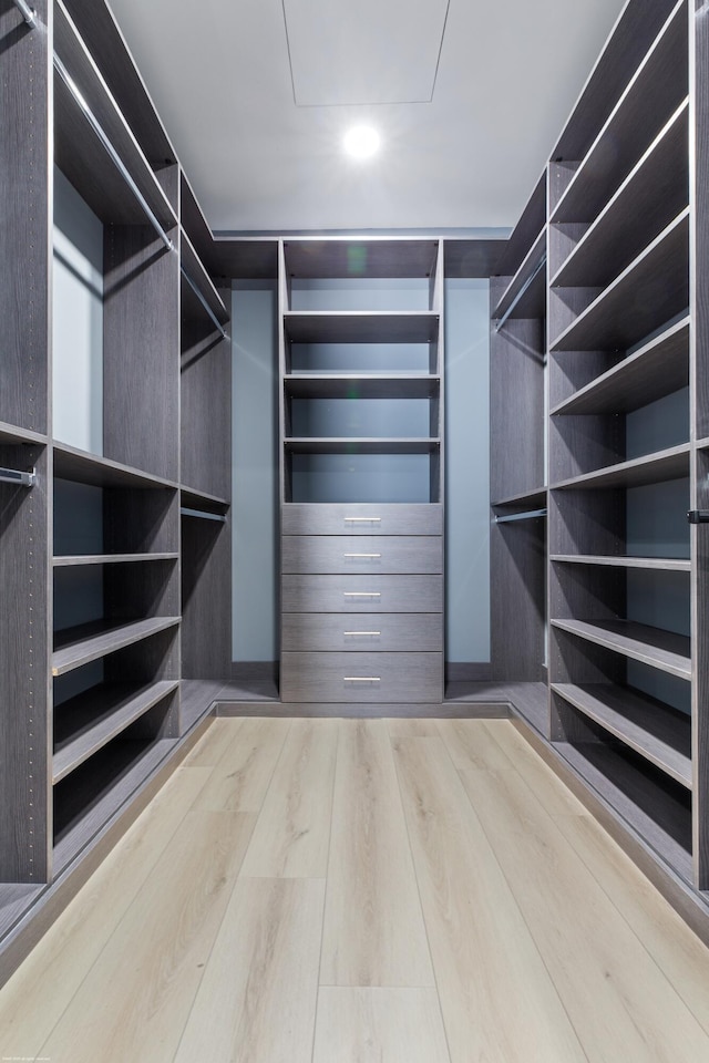 walk in closet featuring wood finished floors