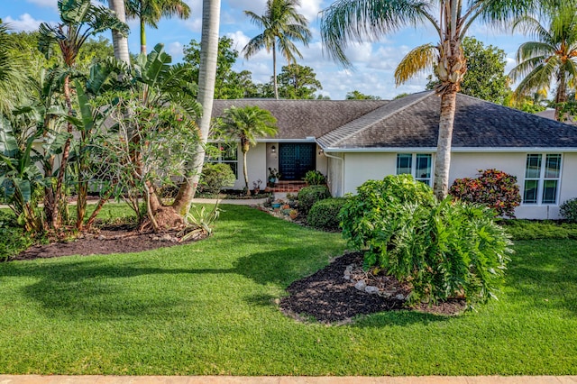 ranch-style house with a front lawn, stucco siding, and a shingled roof