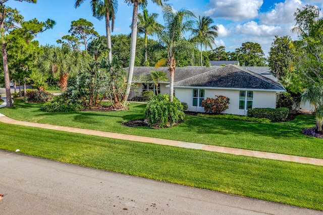ranch-style home with a shingled roof, stucco siding, and a front lawn