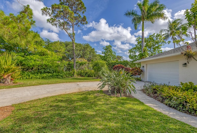 view of yard featuring an attached garage and driveway