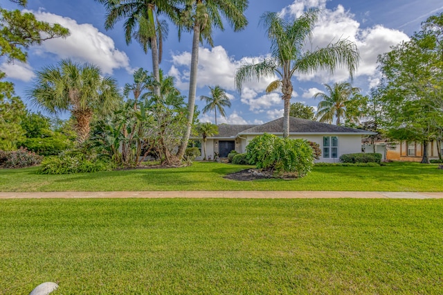 ranch-style home featuring stucco siding and a front lawn