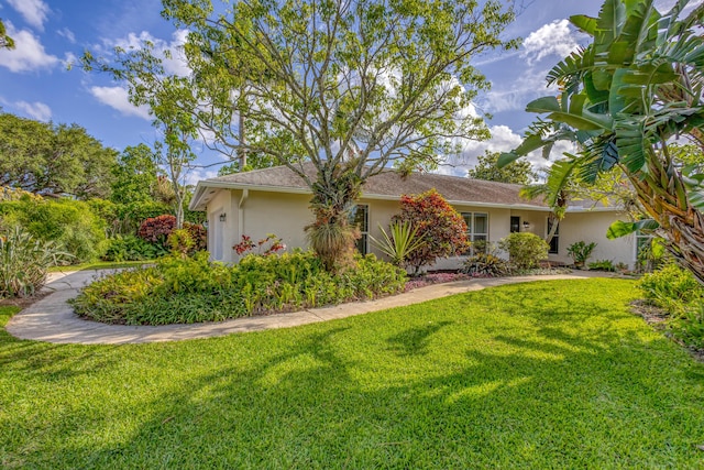 view of home's exterior with a lawn and stucco siding