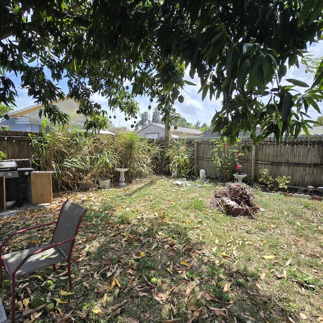 view of yard featuring a fenced backyard