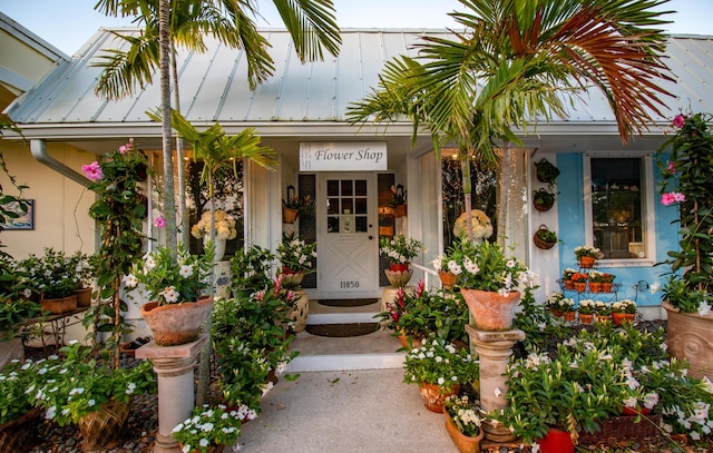 doorway to property featuring covered porch and metal roof