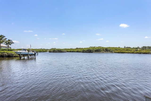 water view featuring a dock
