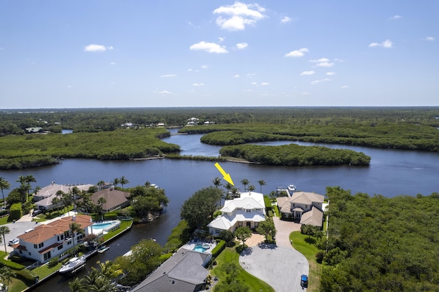 aerial view of a large body of water and a heavily wooded area