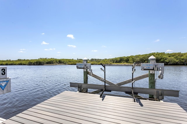 dock area with boat lift and a water view