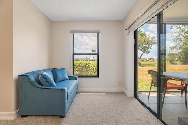 7240 Huntington Ln Unit 105, Delray Beach, FL 33446 - sitting room with carpet, a textured ceiling, and a healthy amount of sunlight