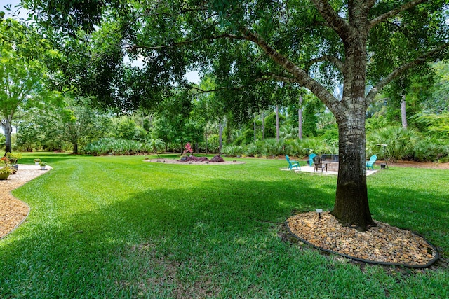 8005 SW Yachtsmans Dr, Stuart, FL 34997 - view of green lawn featuring a patio and view of wooded area