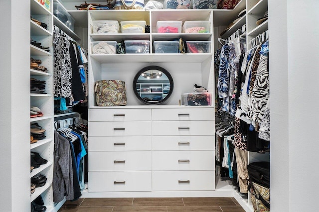 1220 Haywagon Trl, The Acreage, FL 33470 - spacious closet with wood finish floors