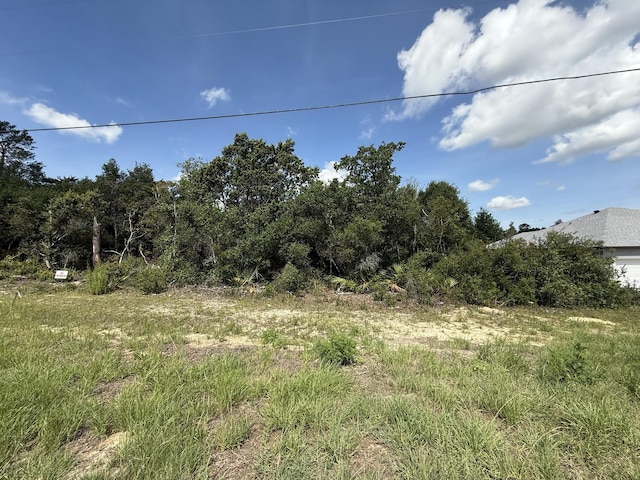 TBD SW 30th Terrace Rd, Ocala, FL 34473