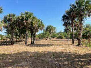 16642 NW 286th St, Okeechobee, FL 34972