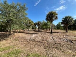 16642 NW 286th St, Okeechobee, FL 34972