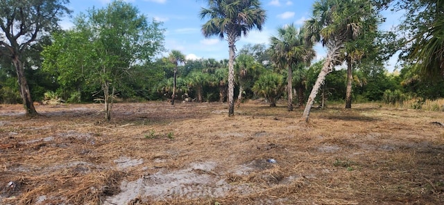 16642 NW 286th St, Okeechobee, FL 34972