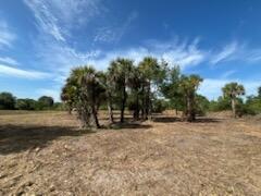 16642 NW 286th St, Okeechobee, FL 34972
