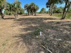16642 NW 286th St, Okeechobee, FL 34972