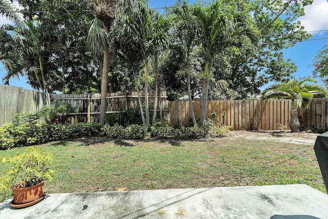 view of yard featuring a fenced backyard and a patio area