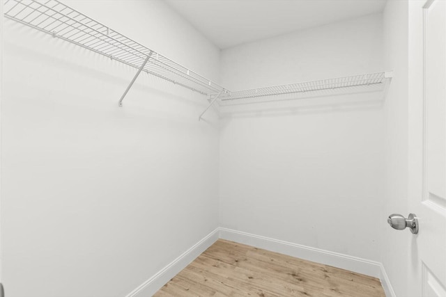 walk in closet featuring light wood-style flooring