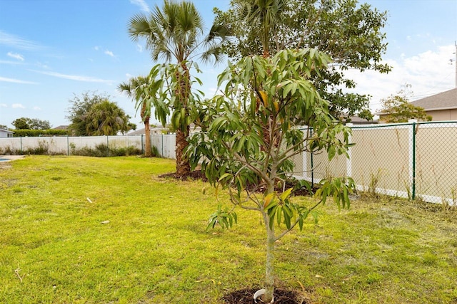 view of yard with a fenced backyard